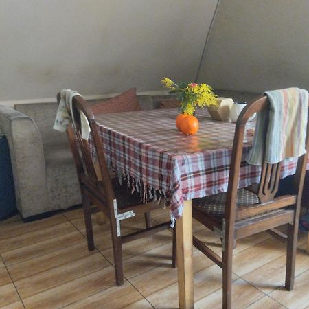 Everyday Cat Hostel Μπατούμι Εξωτερικό φωτογραφία