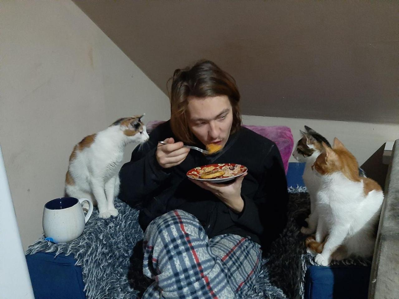 Everyday Cat Hostel Μπατούμι Εξωτερικό φωτογραφία