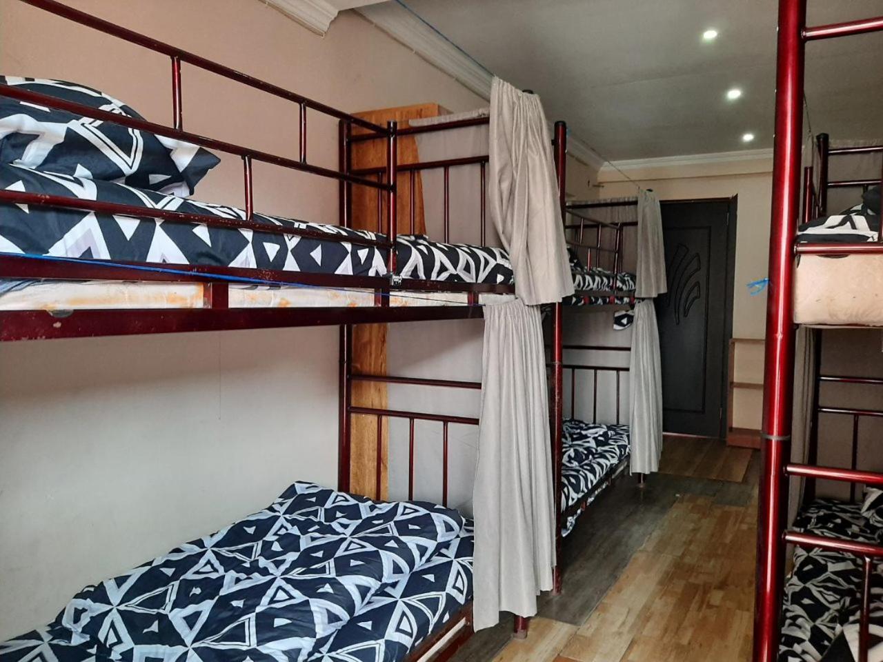 Everyday Cat Hostel Μπατούμι Εξωτερικό φωτογραφία