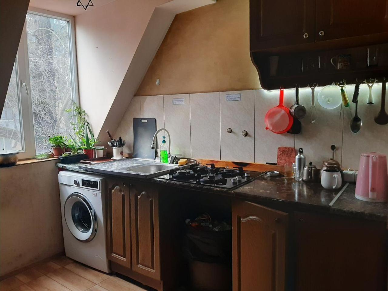 Everyday Cat Hostel Μπατούμι Εξωτερικό φωτογραφία