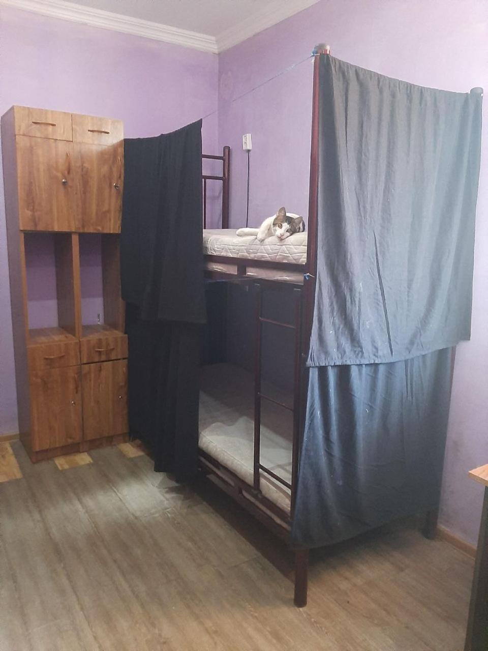 Everyday Cat Hostel Μπατούμι Εξωτερικό φωτογραφία