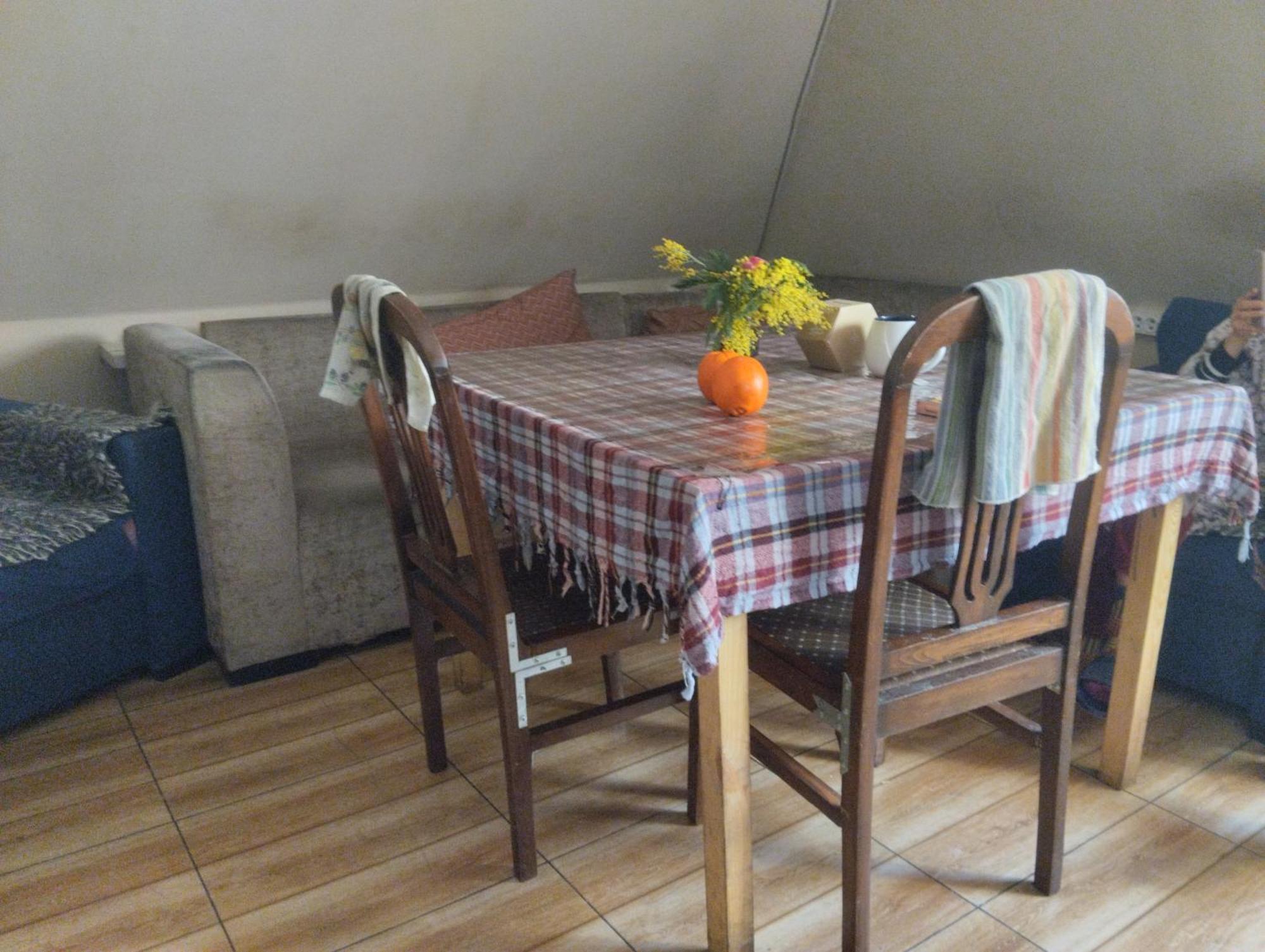 Everyday Cat Hostel Μπατούμι Εξωτερικό φωτογραφία