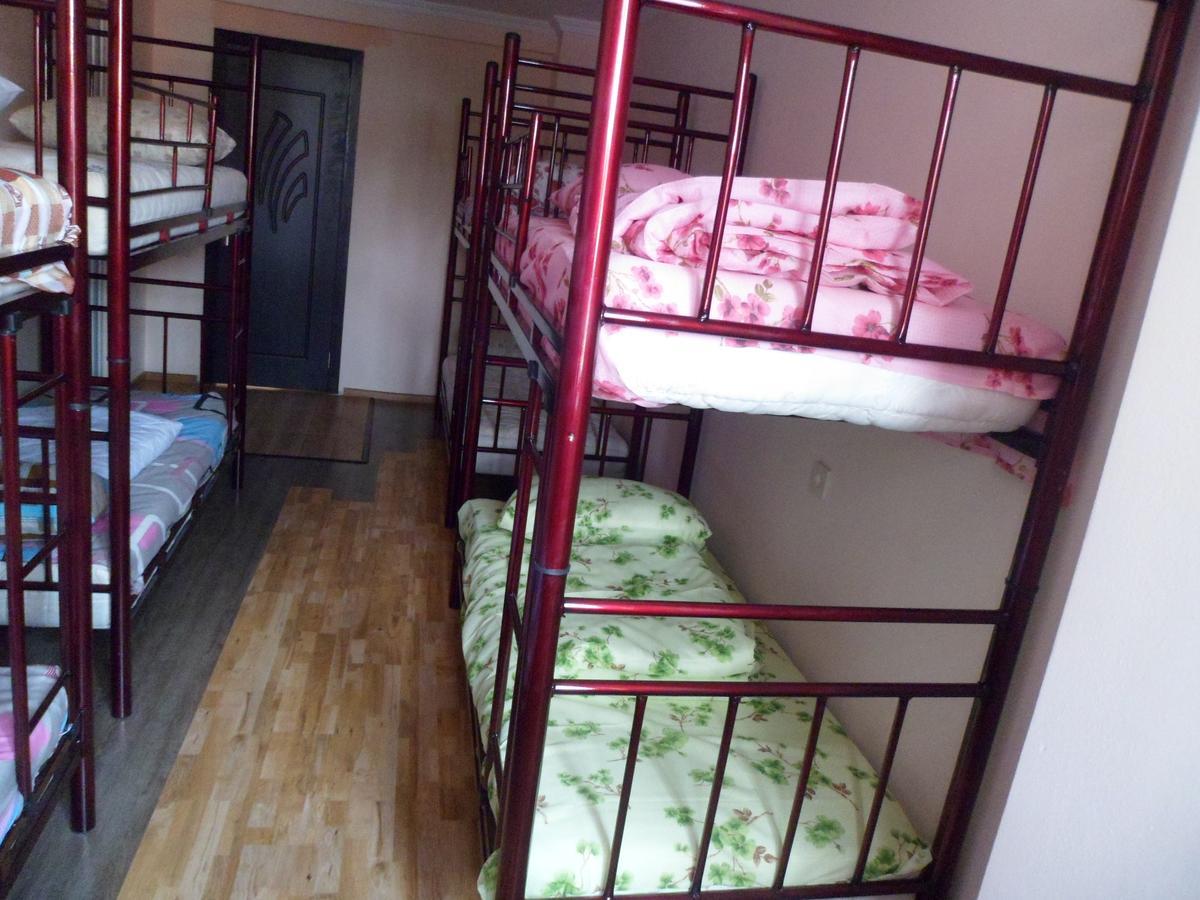 Everyday Cat Hostel Μπατούμι Εξωτερικό φωτογραφία
