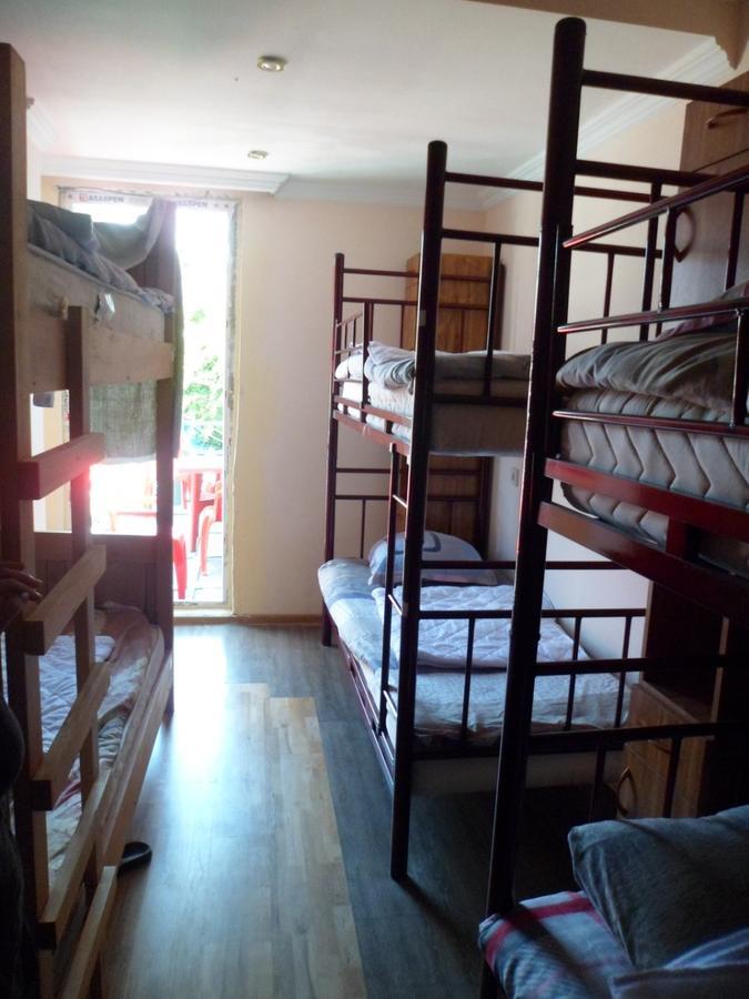 Everyday Cat Hostel Μπατούμι Εξωτερικό φωτογραφία