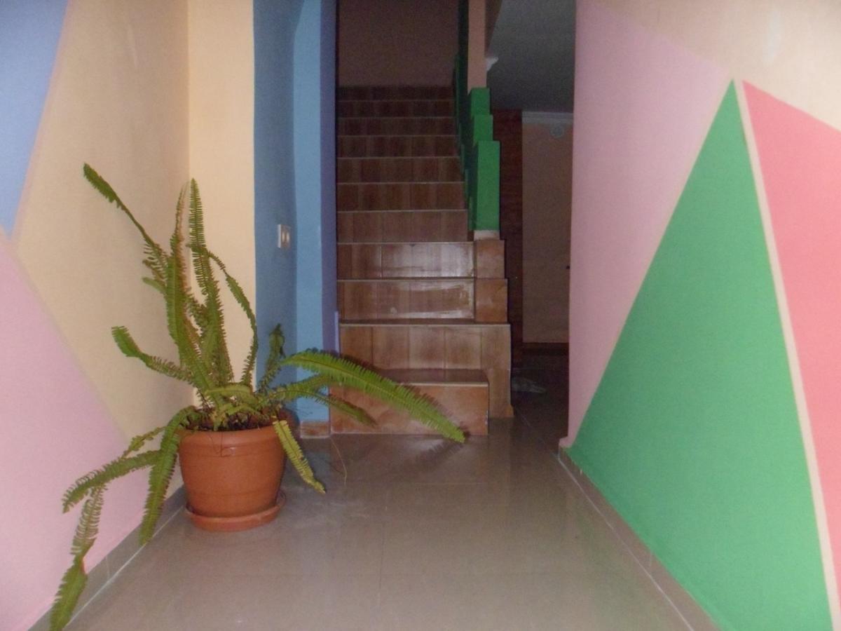 Everyday Cat Hostel Μπατούμι Εξωτερικό φωτογραφία